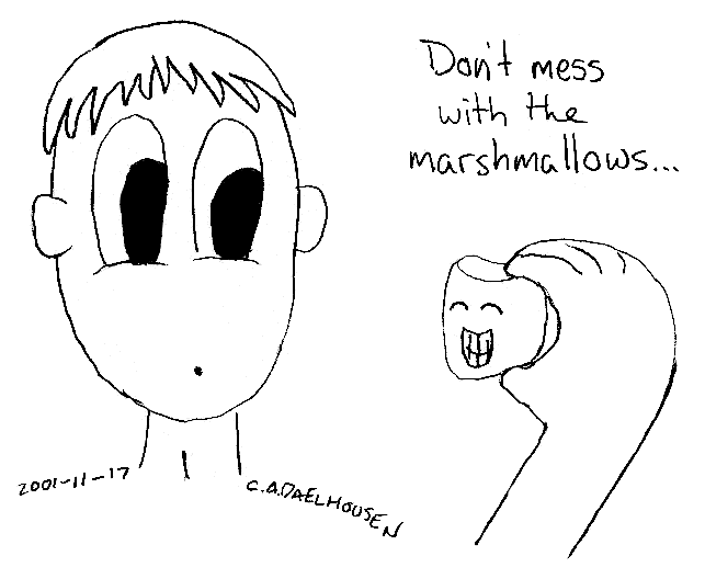 [Don't mess with the marshmallows.]