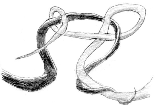 [Two tails wrapped around each other]