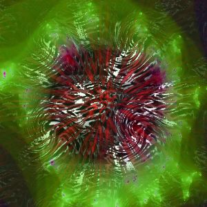 [Blood and demons behind a (fractal) hole]