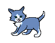 A small, furry feline