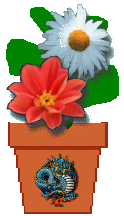 [The Site Fights spirit flower]